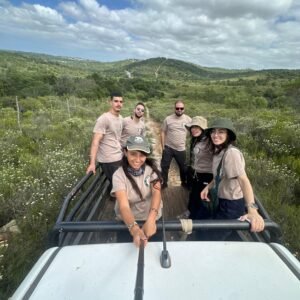 Volunteer with Lions 🦁