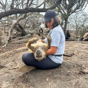Solo Volunteering with Monkeys 🐒
