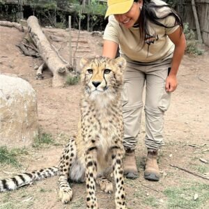 تطوع في محمية الفهود  🐆